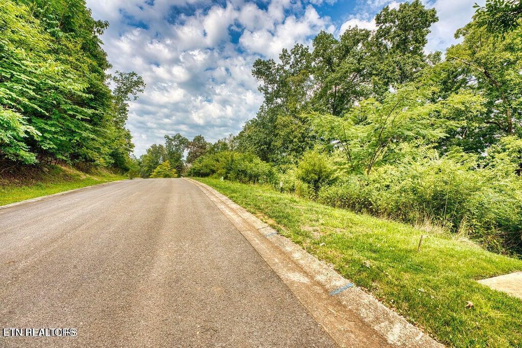 651 Black Cove Lane, Loudon, TN - Fort Loudoun and Tellico Lake Real Estate - Image# 18