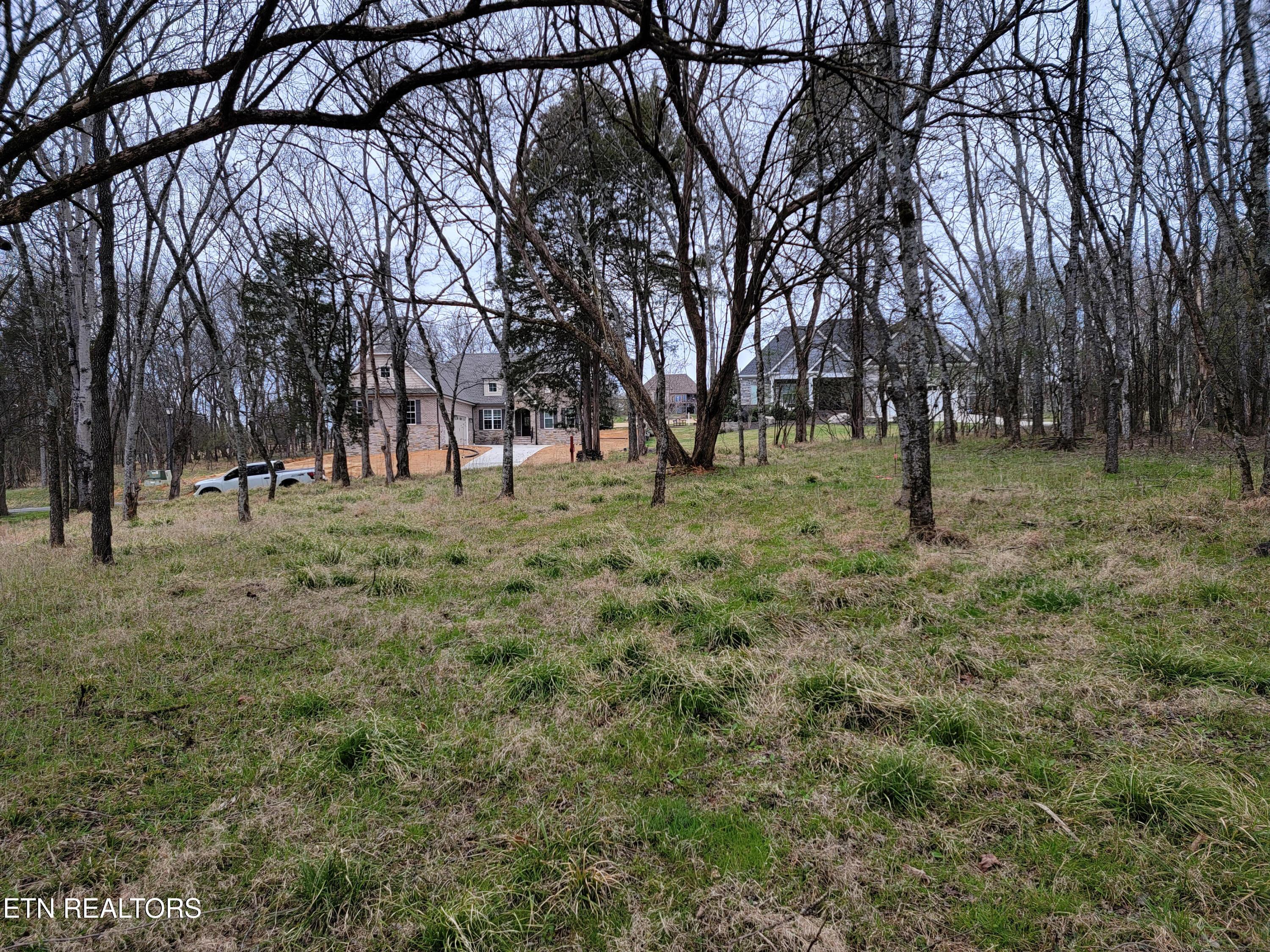 104 Kanati Tr, Vonore, TN - Fort Loudoun and Tellico Lake Real Estate - Image# 3