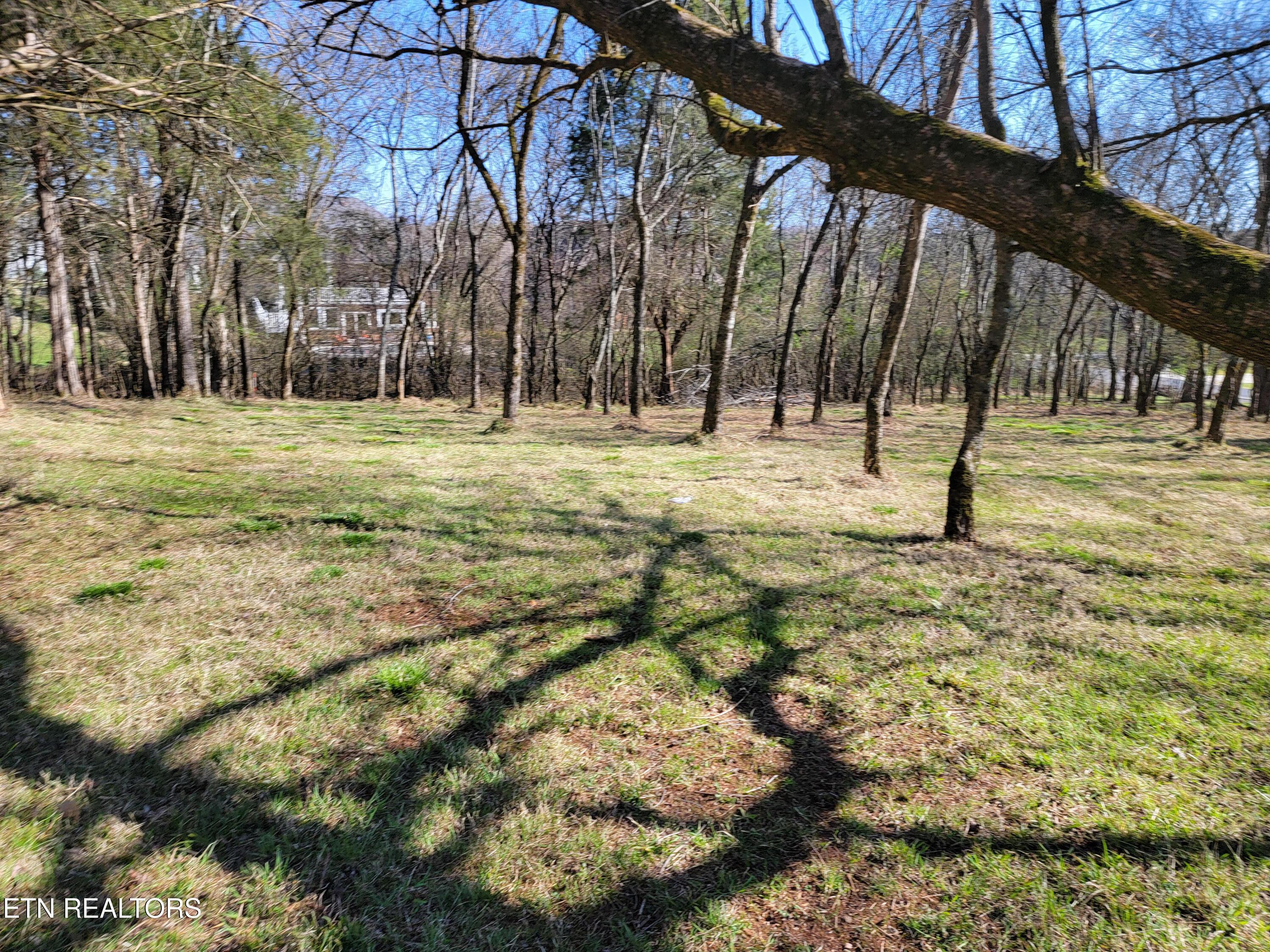 104 Kanati Tr, Vonore, TN - Fort Loudoun and Tellico Lake Real Estate - Image# 5