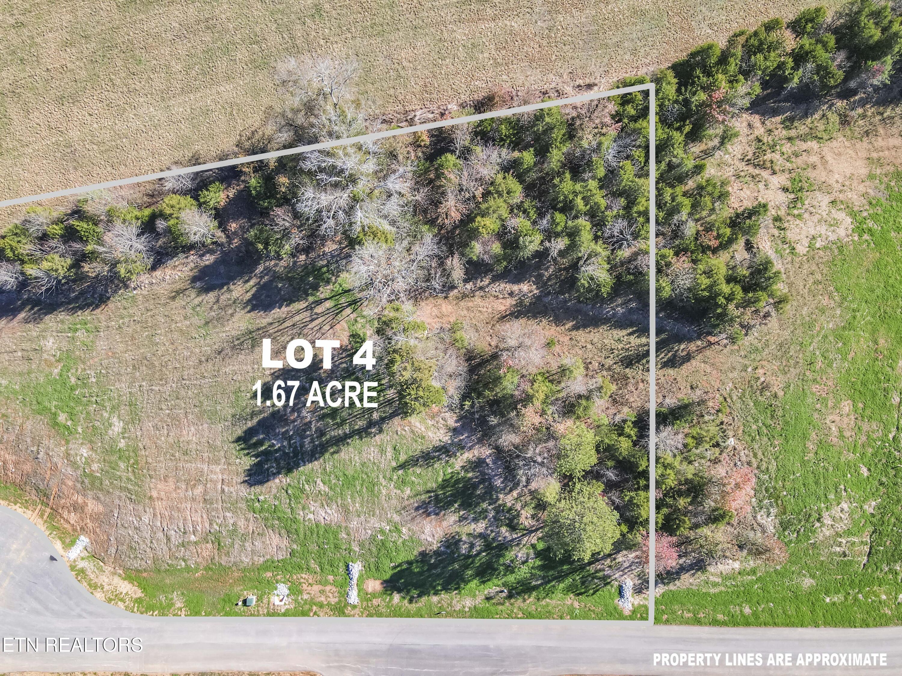 3830 Lakeside Estates Way, Louisville, TN - Fort Loudoun and Tellico Lake Real Estate - Image# 3