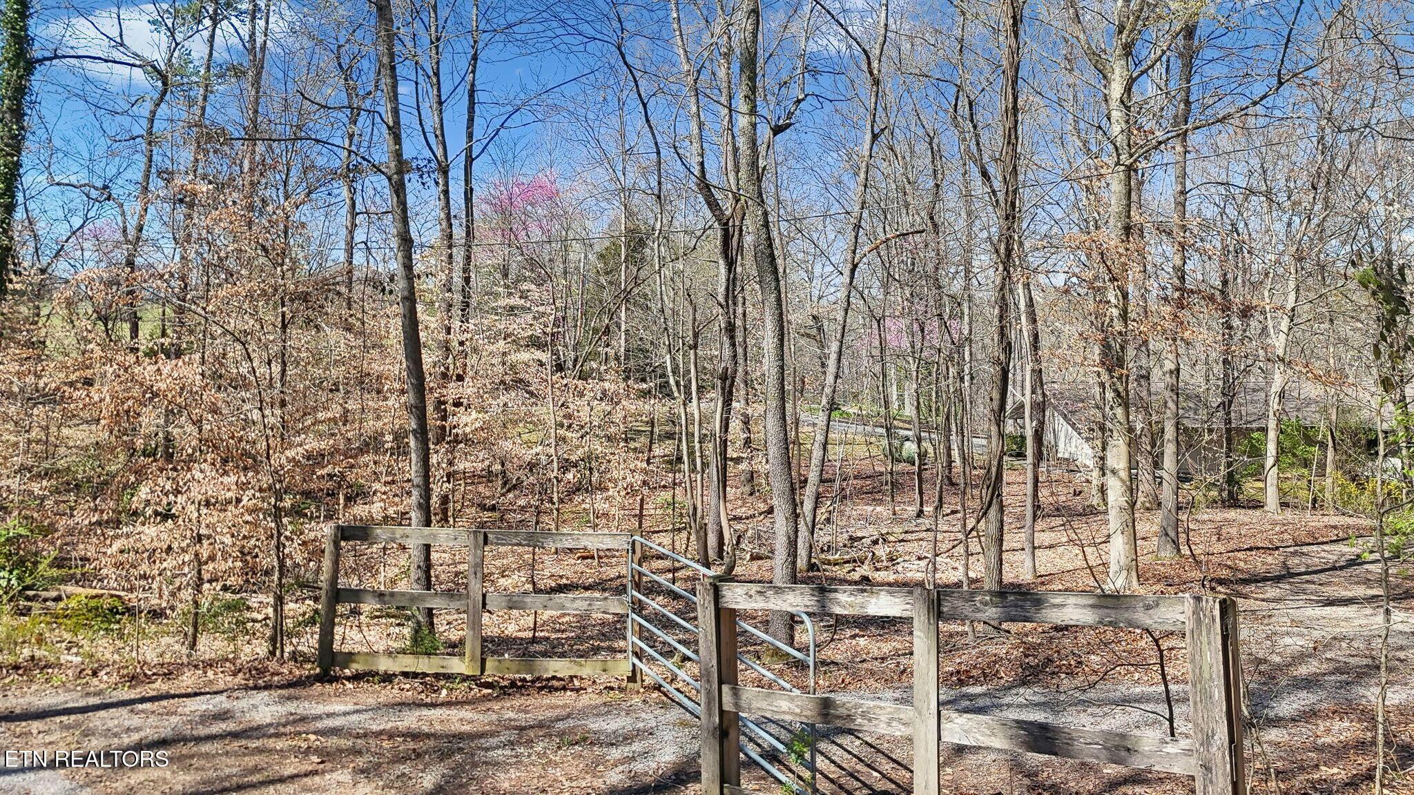 3798 Lakeland Drive, Lenoir City, TN - Fort Loudoun and Tellico Lake Real Estate - Image# 5