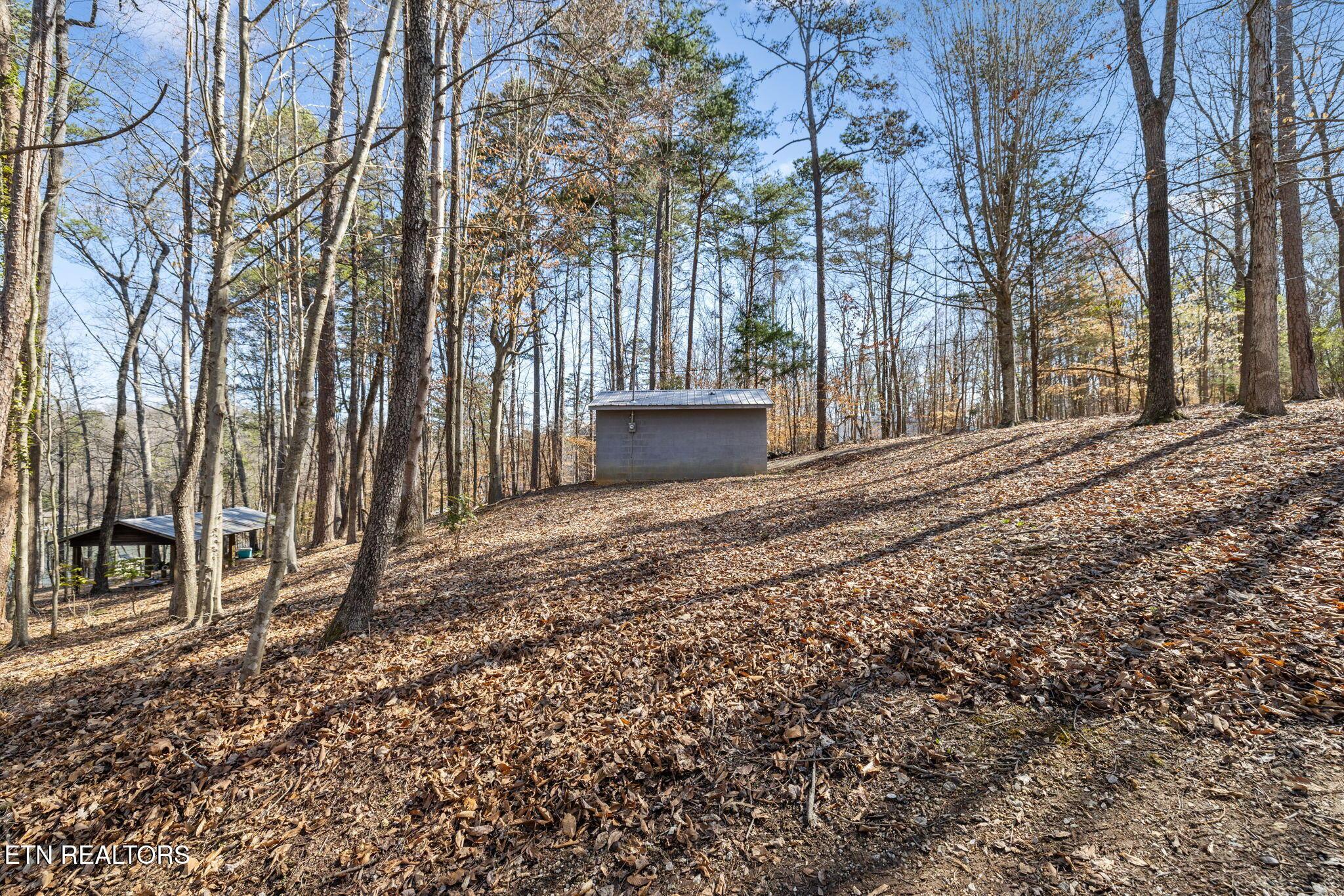 3798 Lakeland Drive, Lenoir City, TN - Fort Loudoun and Tellico Lake Real Estate - Image# 12