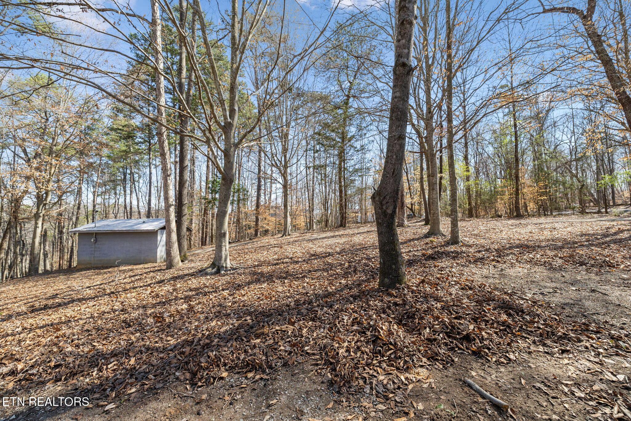 3798 Lakeland Drive, Lenoir City, TN - Fort Loudoun and Tellico Lake Real Estate - Image# 11