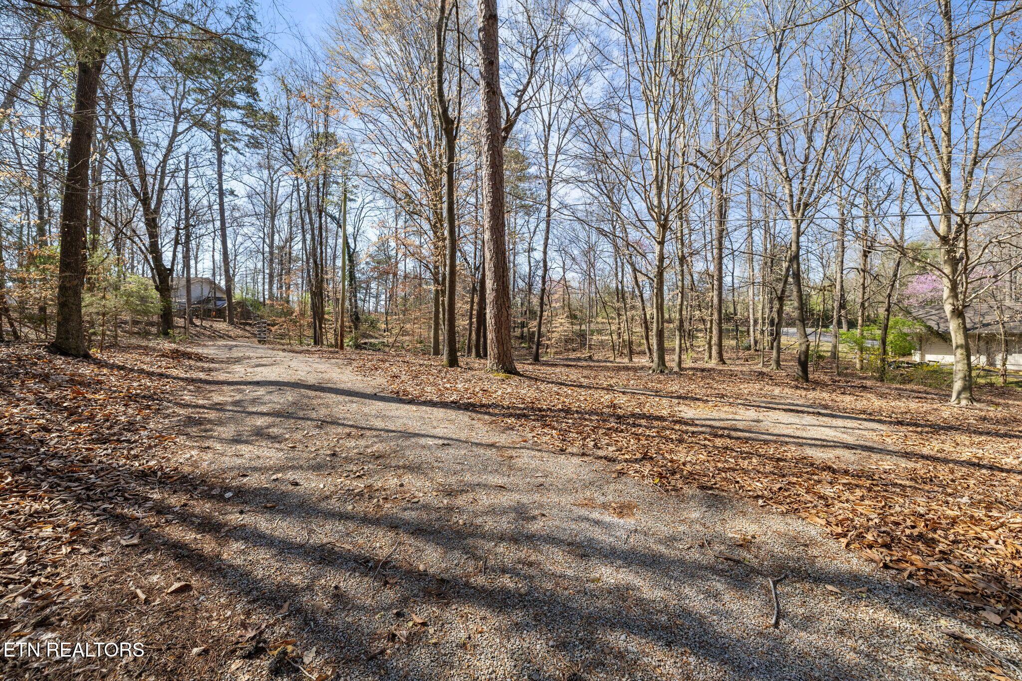3798 Lakeland Drive, Lenoir City, TN - Fort Loudoun and Tellico Lake Real Estate - Image# 13