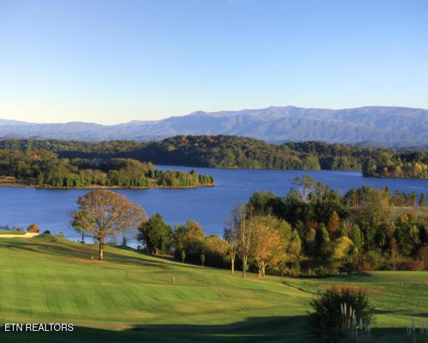 380 Cormorant Drive, Vonore, TN - Fort Loudoun and Tellico Lake Real Estate - Image# 13