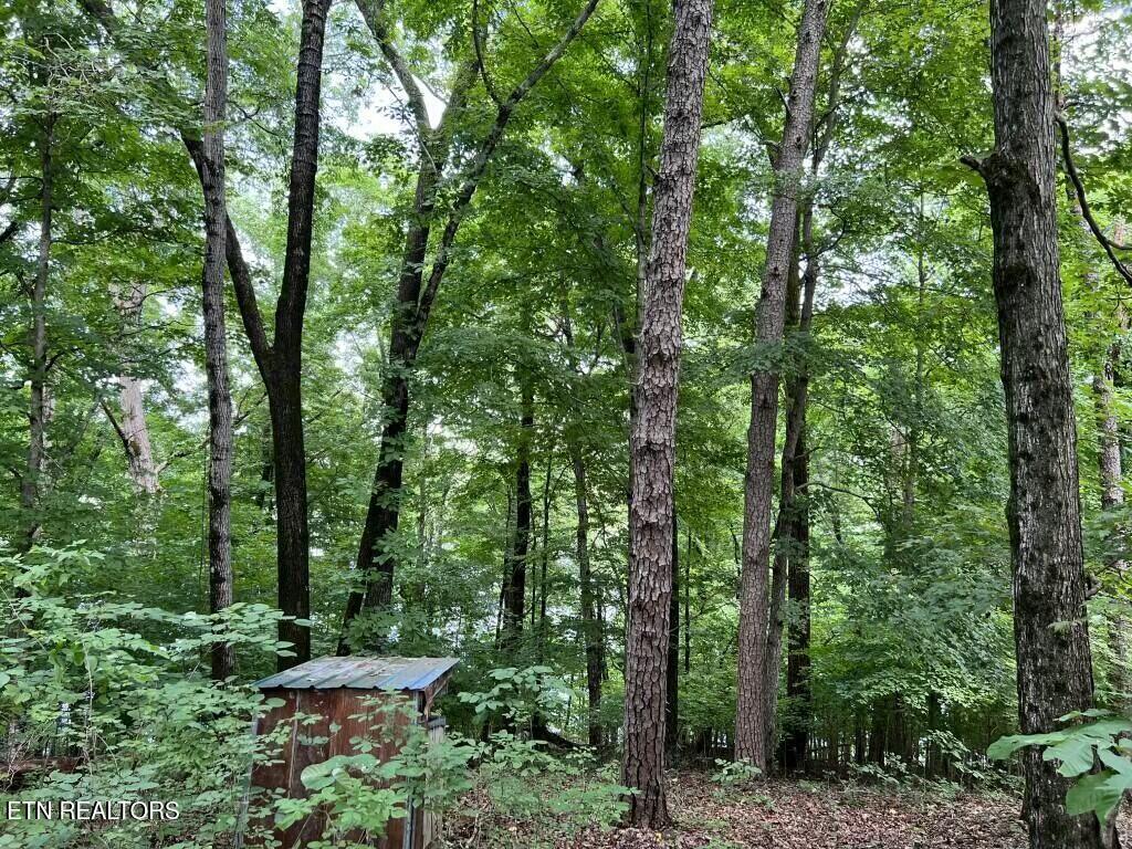 Donaldson Light Lane, Lenoir City, TN - Fort Loudoun and Tellico Lake Real Estate - Image# 9