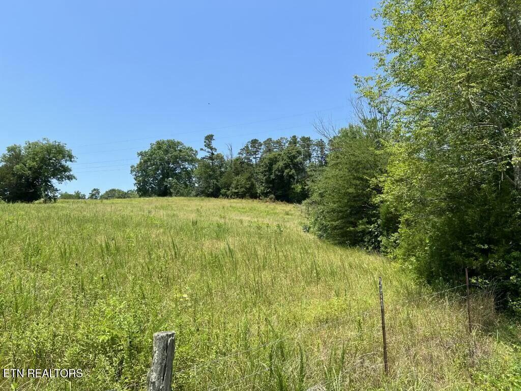 Donaldson Light Lane, Lenoir City, TN - Fort Loudoun and Tellico Lake Real Estate - Image# 4
