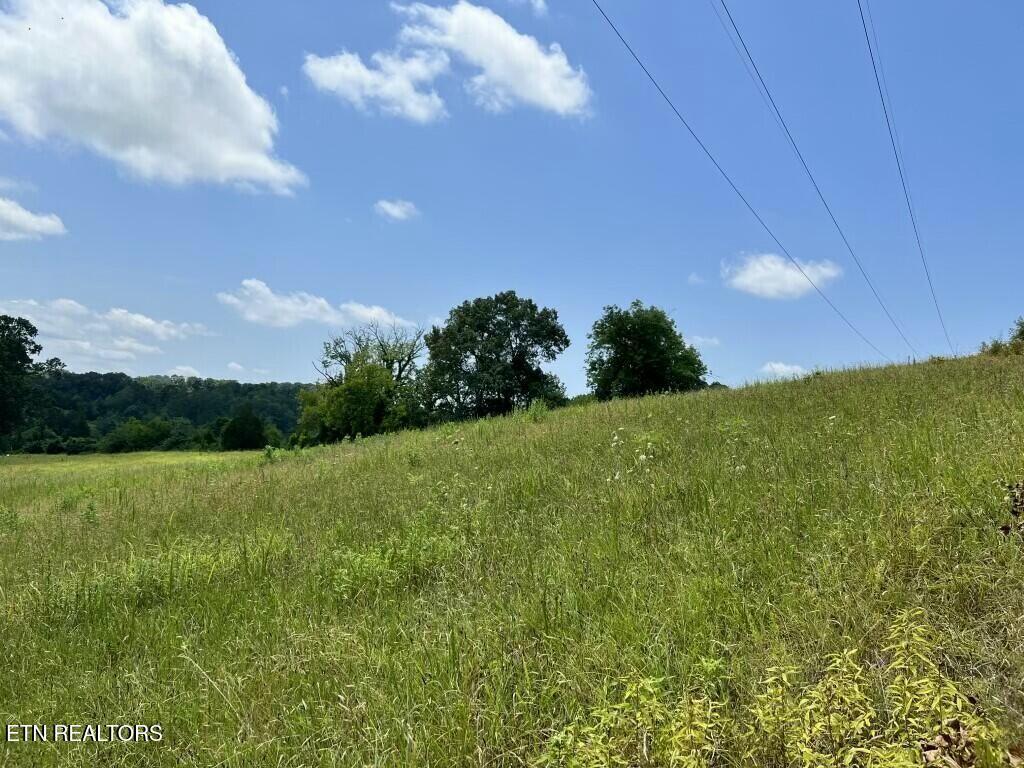 Donaldson Light Lane, Lenoir City, TN - Fort Loudoun and Tellico Lake Real Estate - Image# 12