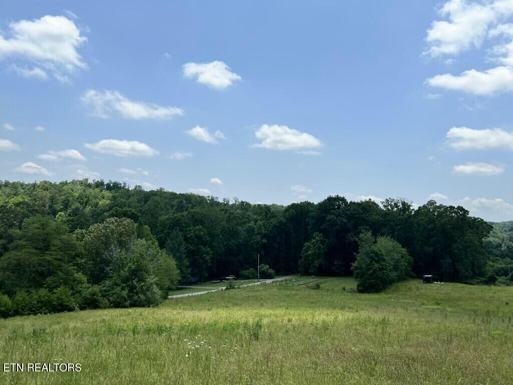 Donaldson Light Lane, Lenoir City, TN - Fort Loudoun and Tellico Lake Real Estate - Image# 13
