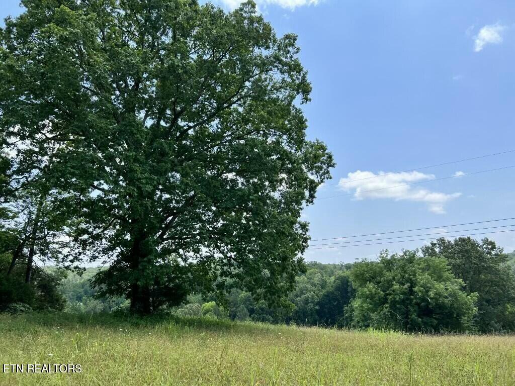 Donaldson Light Lane, Lenoir City, TN - Fort Loudoun and Tellico Lake Real Estate - Image# 14