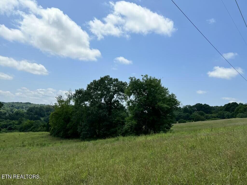 Donaldson Light Lane, Lenoir City, TN - Fort Loudoun and Tellico Lake Real Estate - Image# 16
