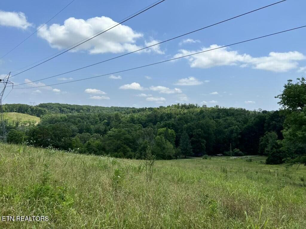 Donaldson Light Lane, Lenoir City, TN - Fort Loudoun and Tellico Lake Real Estate - Image# 18