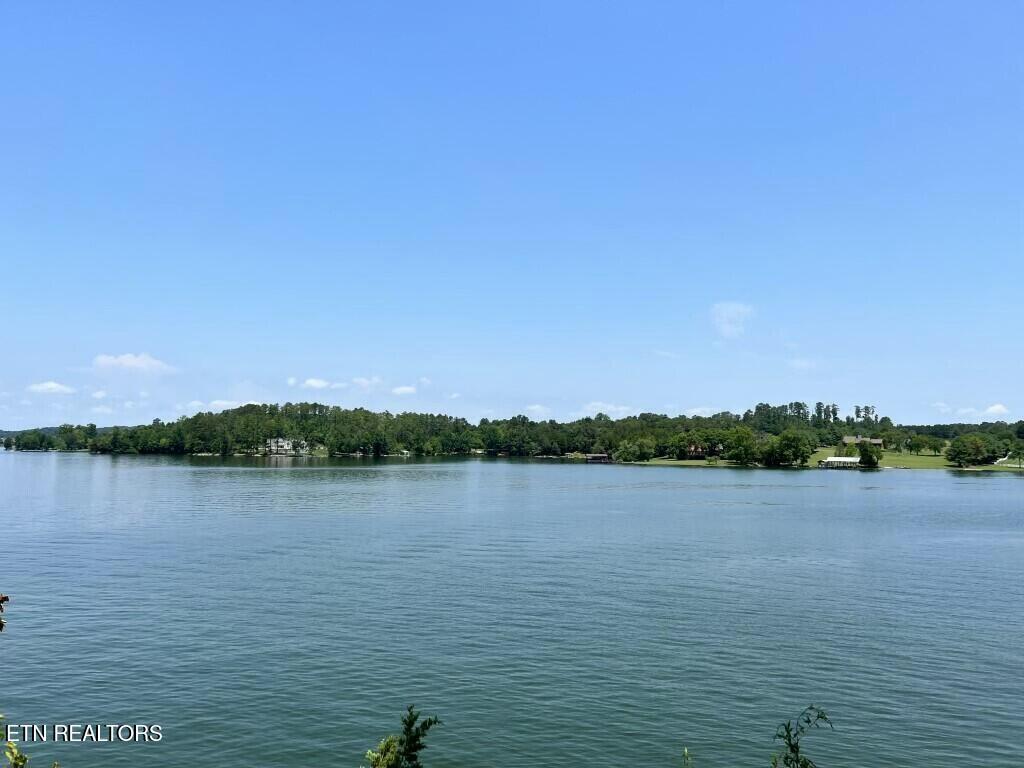 Donaldson Light Lane, Lenoir City, TN - Fort Loudoun and Tellico Lake Real Estate - Image# 23