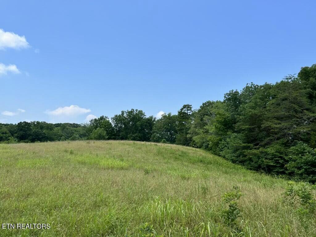 Donaldson Light Lane, Lenoir City, TN - Fort Loudoun and Tellico Lake Real Estate - Image# 24