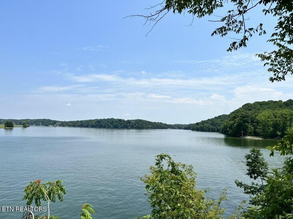 Donaldson Light Lane, Lenoir City, TN - Fort Loudoun and Tellico Lake Real Estate - Image# 25