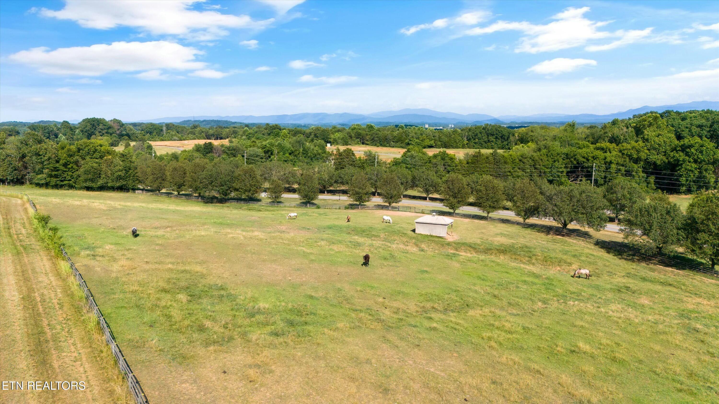 535 Rarity Bay Pkwy, Vonore, TN - Fort Loudoun and Tellico Lake Real Estate - Image# 29