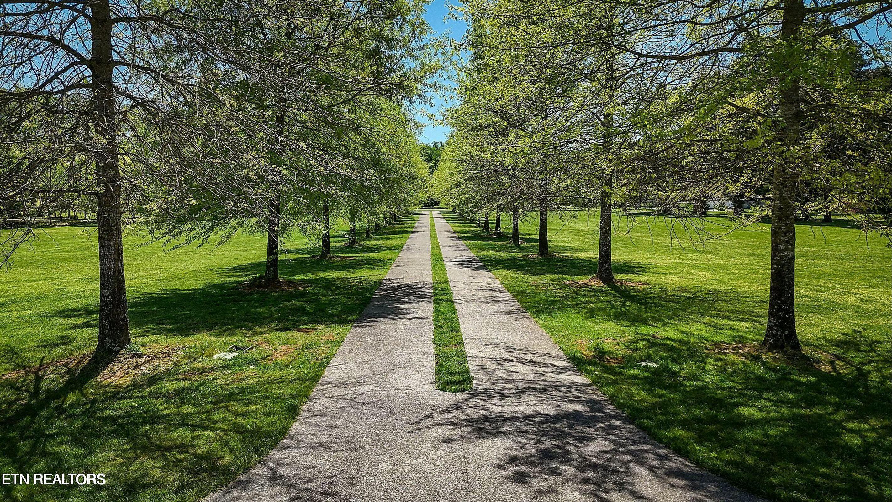 Fort Loudoun and Tellico Lake Real Estate - Image# 9