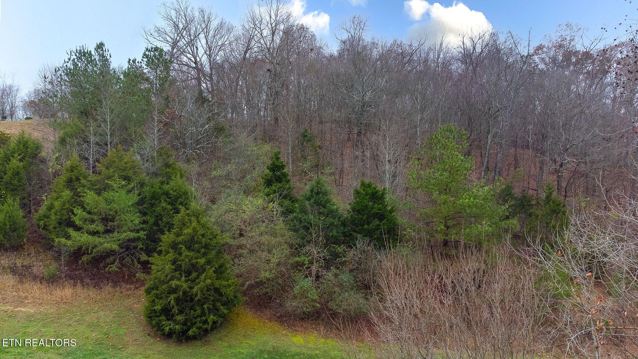 Fort Loudoun and Tellico Lake Real Estate - Image# 4