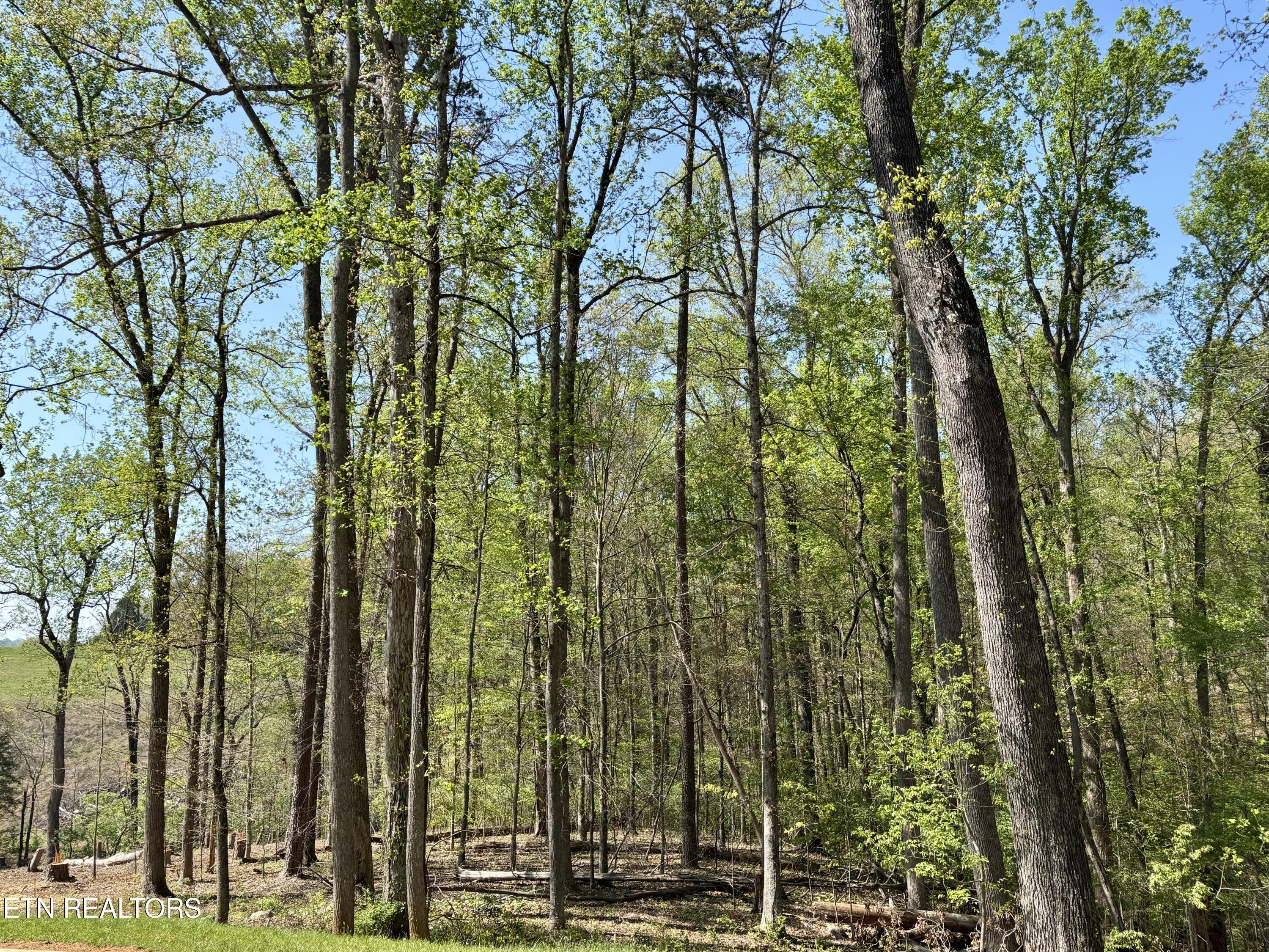 Lysandra Way, Knoxville, TN - Fort Loudoun and Tellico Lake Real Estate - Image# 1