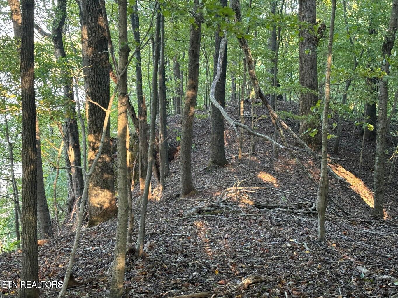 Fort Loudoun and Tellico Lake Real Estate - Image# 4