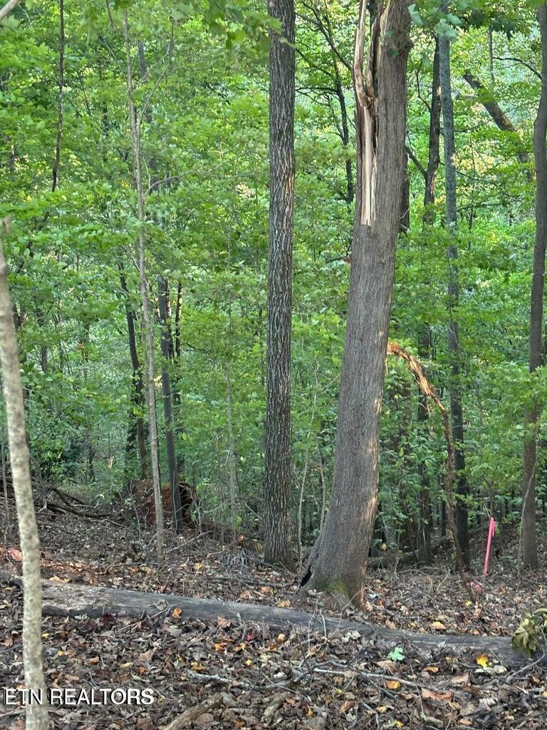Fort Loudoun and Tellico Lake Real Estate - Image# 5
