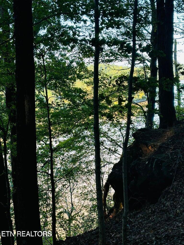 Fort Loudoun and Tellico Lake Real Estate - Image# 6
