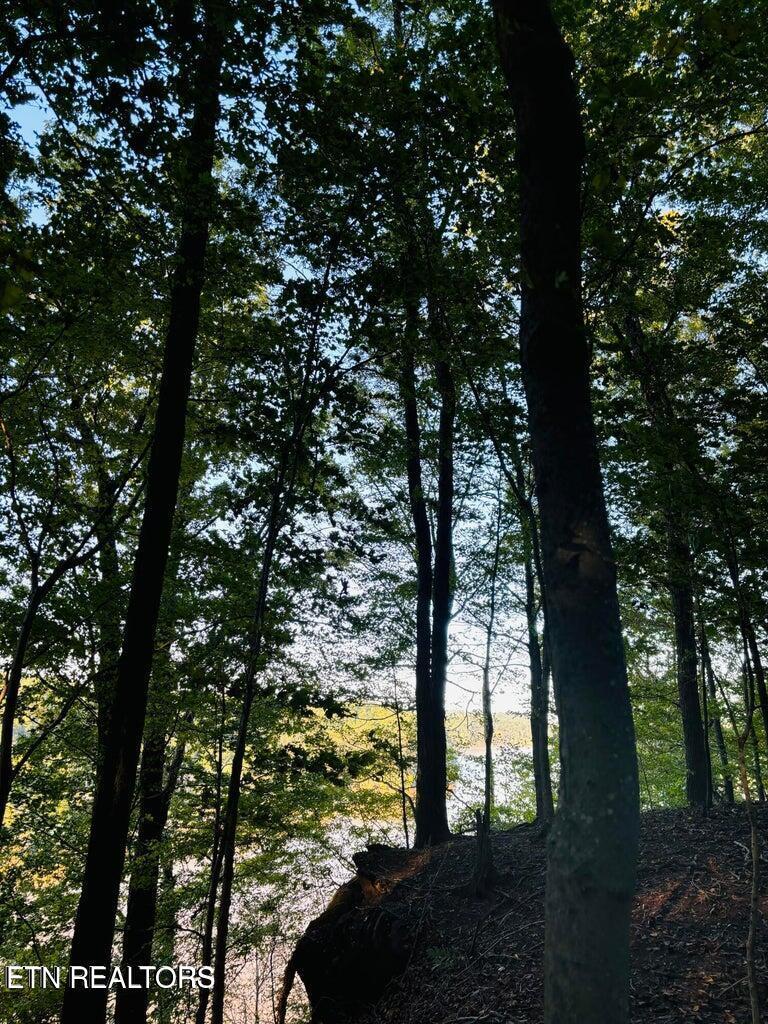 Fort Loudoun and Tellico Lake Real Estate - Image# 8