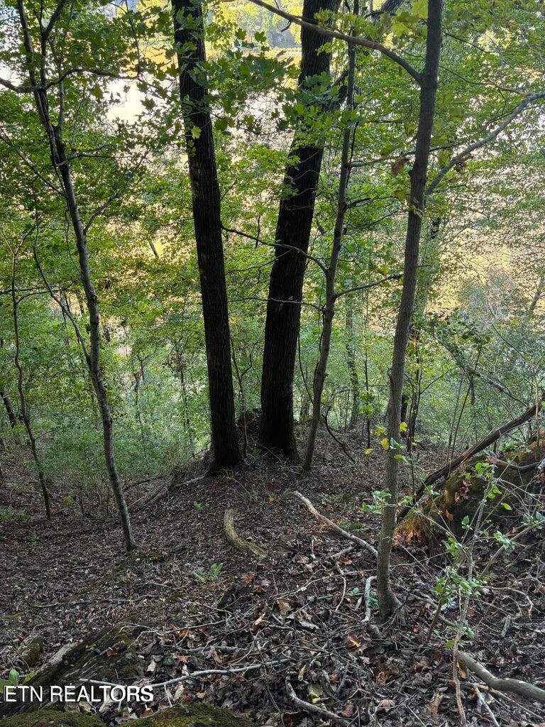 Fort Loudoun and Tellico Lake Real Estate - Image# 9
