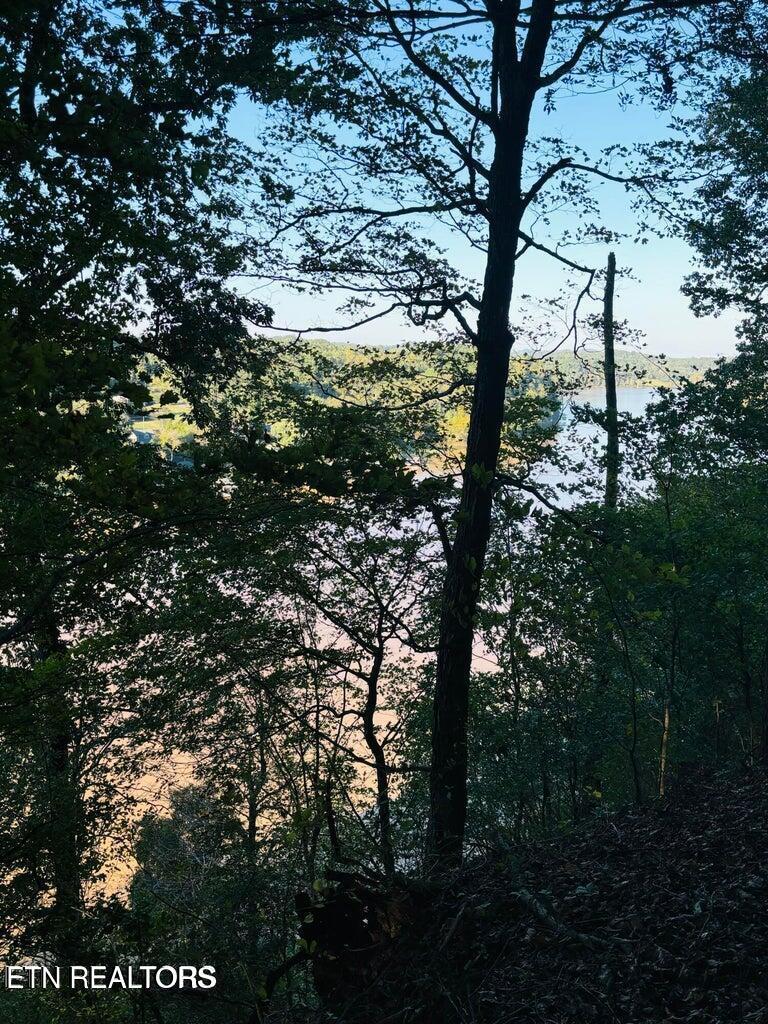 Fort Loudoun and Tellico Lake Real Estate - Image# 10