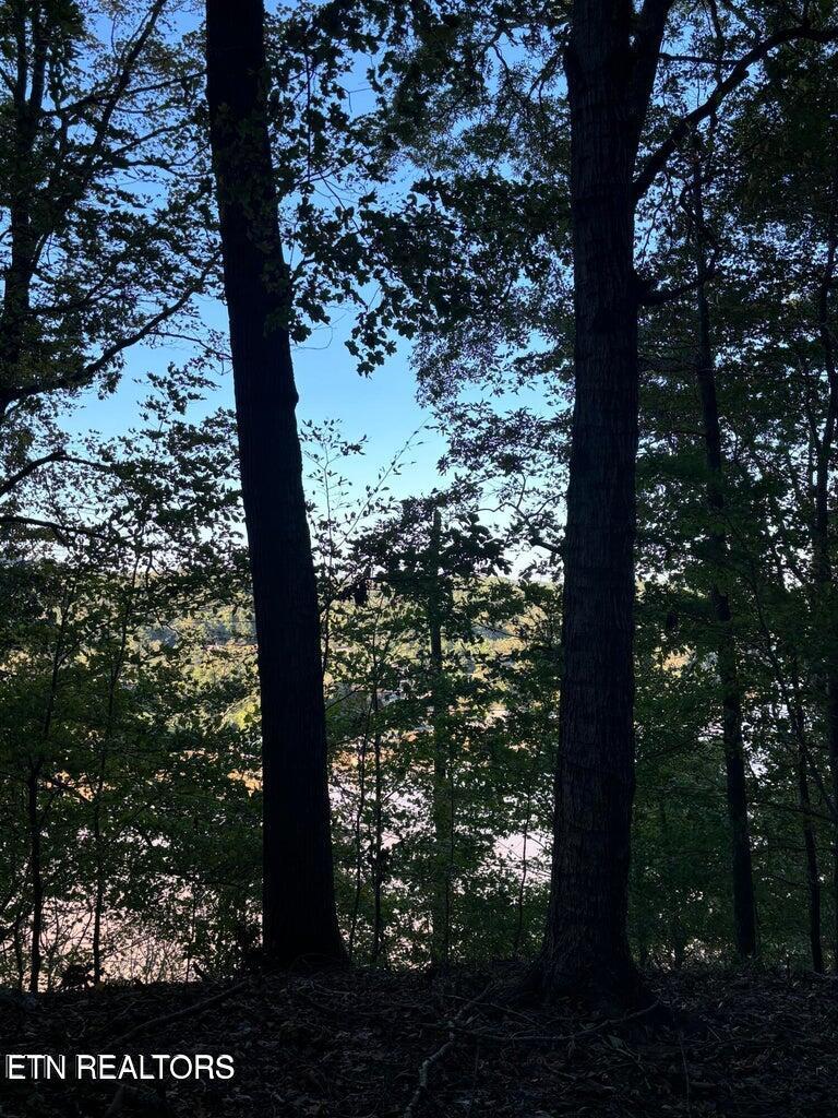 Fort Loudoun and Tellico Lake Real Estate - Image# 11