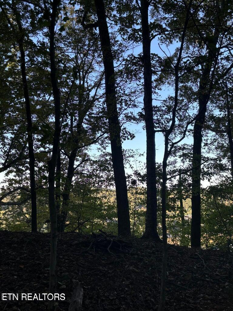 Fort Loudoun and Tellico Lake Real Estate - Image# 12