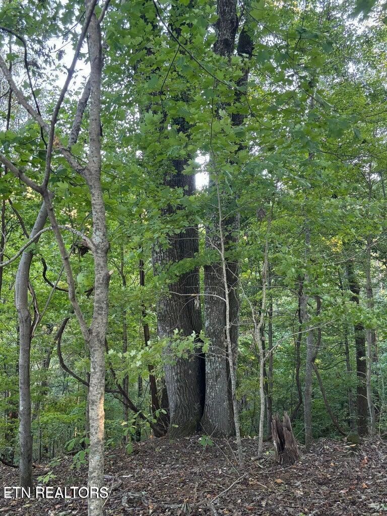 Fort Loudoun and Tellico Lake Real Estate - Image# 13