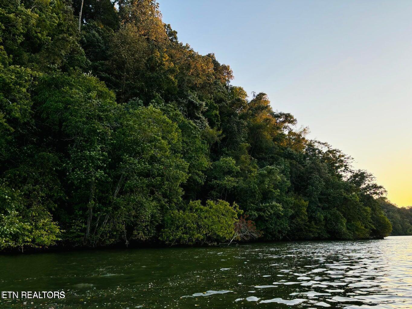 Fort Loudoun and Tellico Lake Real Estate - Image# 14