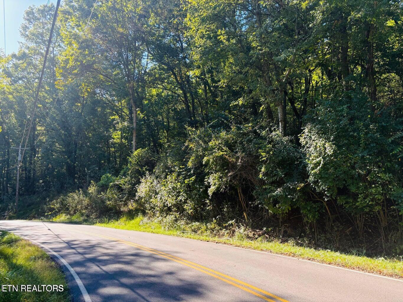 Fort Loudoun and Tellico Lake Real Estate - Image# 16