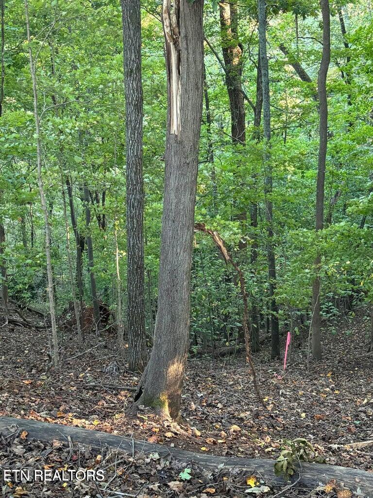 Fort Loudoun and Tellico Lake Real Estate - Image# 18