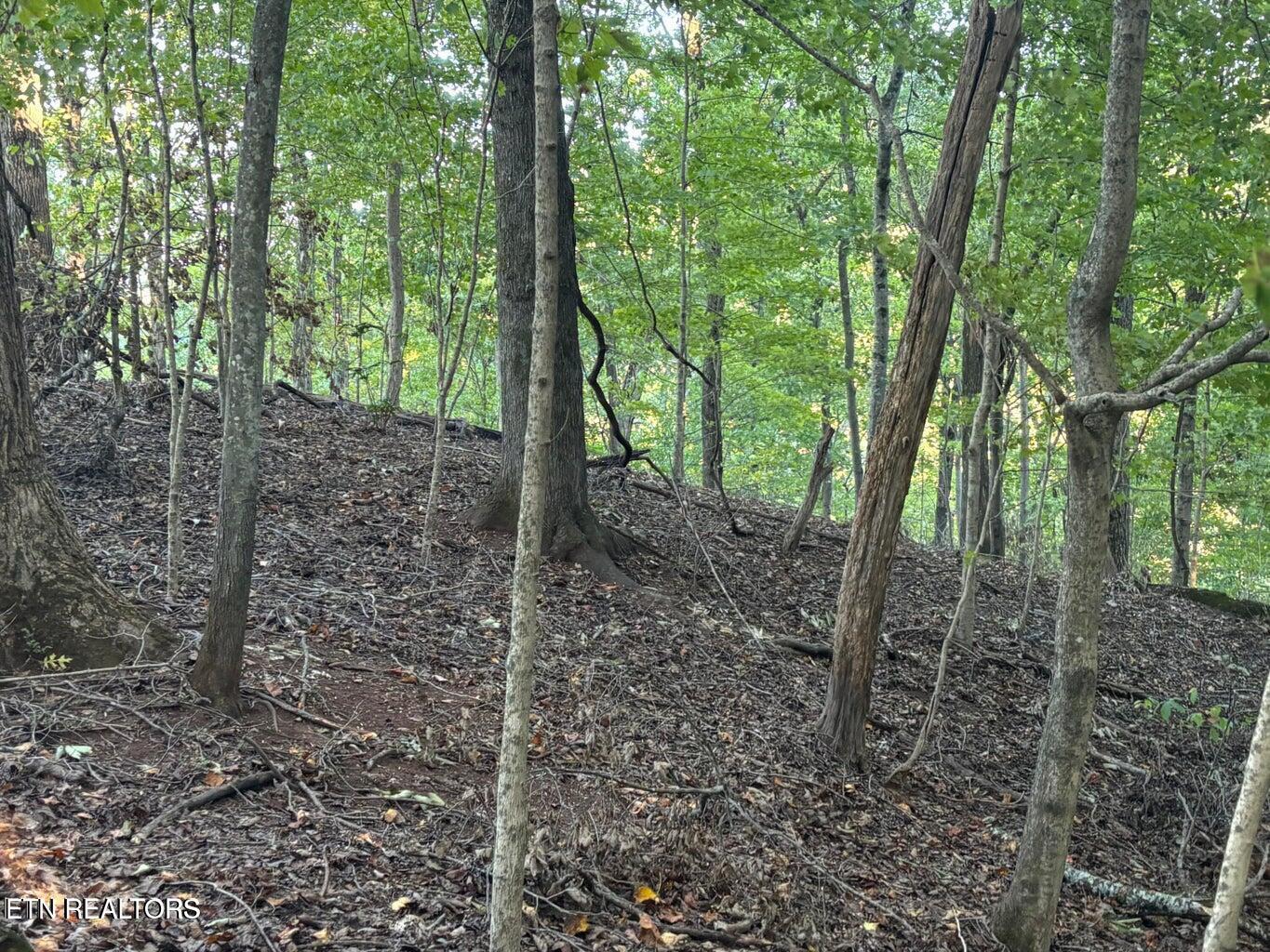 Fort Loudoun and Tellico Lake Real Estate - Image# 19