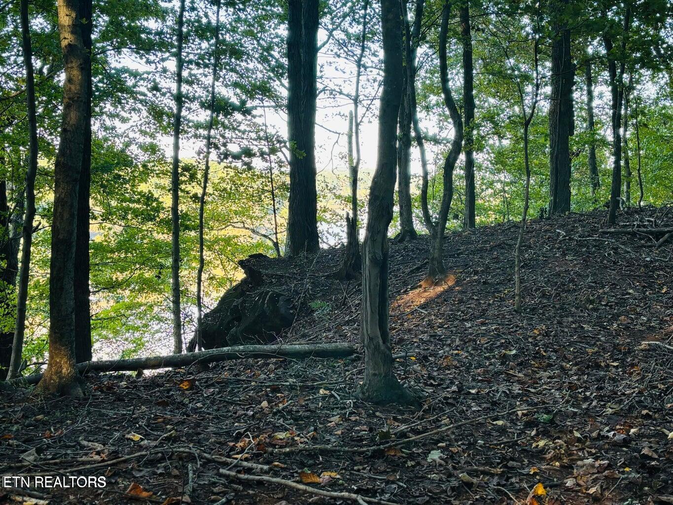 Fort Loudoun and Tellico Lake Real Estate - Image# 20