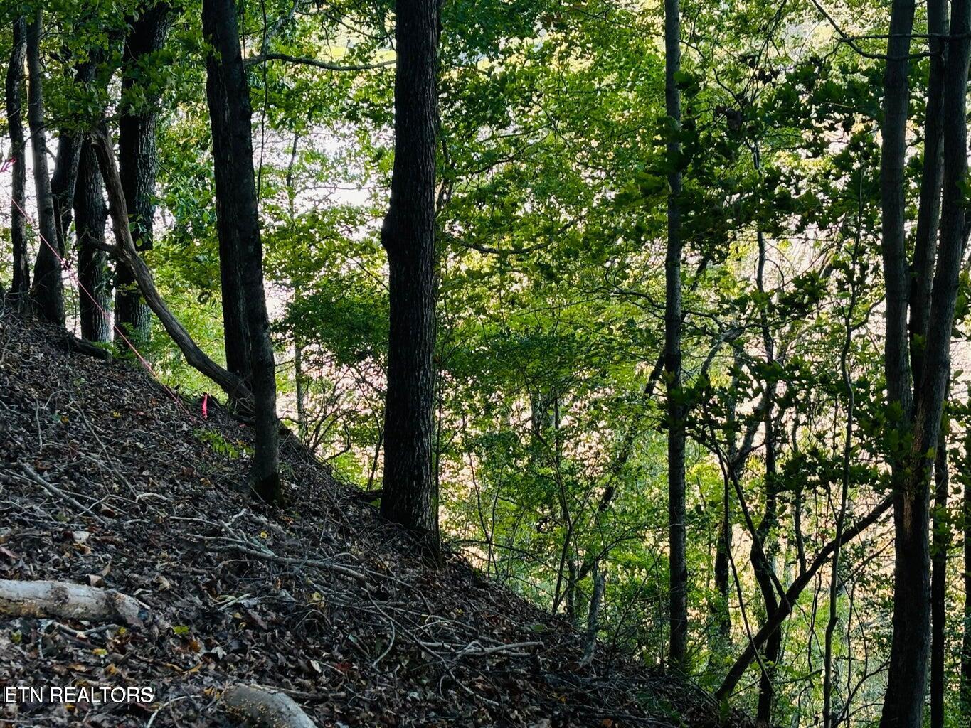 Fort Loudoun and Tellico Lake Real Estate - Image# 21