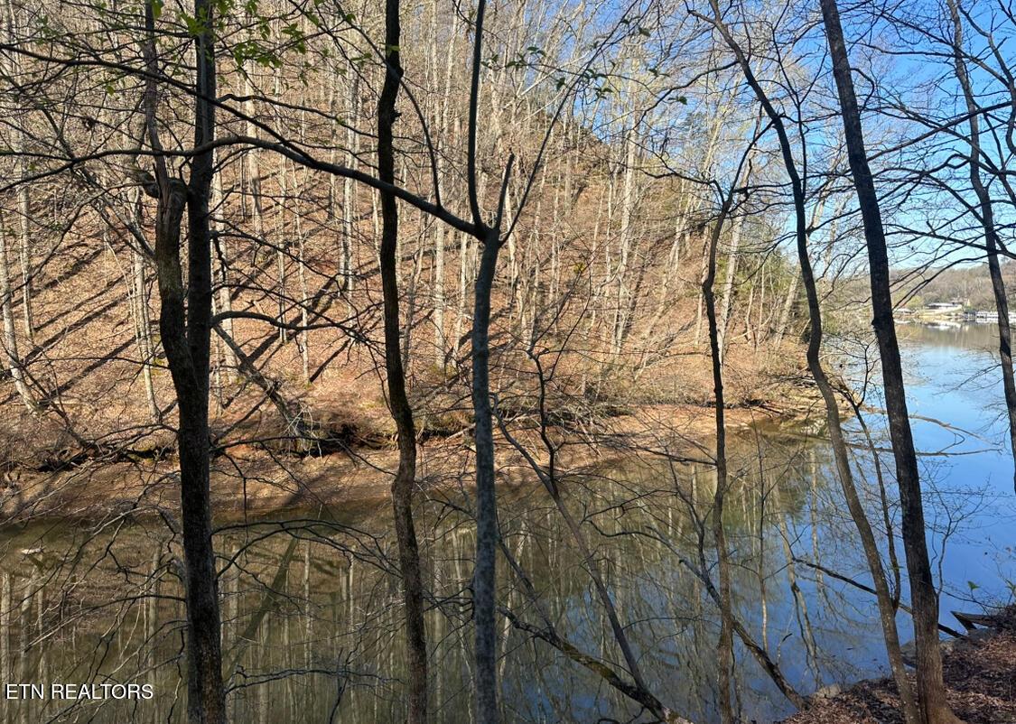 Fort Loudoun and Tellico Lake Real Estate - Image# 10