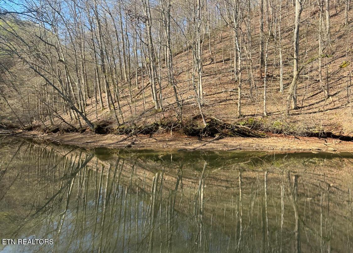 Fort Loudoun and Tellico Lake Real Estate - Image# 2