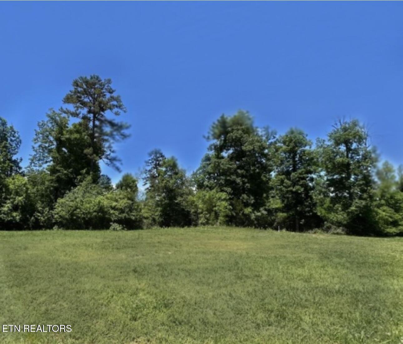 Fort Loudoun and Tellico Lake Real Estate - Image# 3