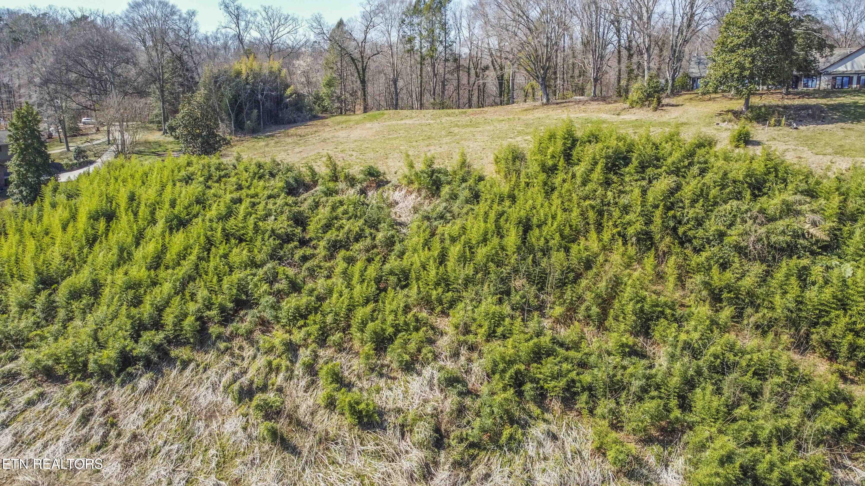 5136 Buckhead Trail Tr, Knoxville, TN - Fort Loudoun and Tellico Lake Real Estate - Image# 19