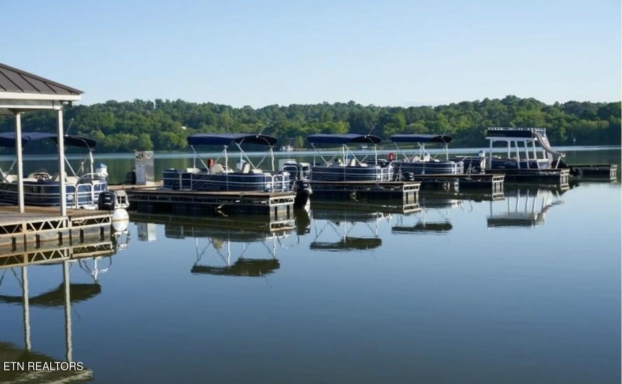 Fort Loudoun and Tellico Lake Real Estate - Image# 50