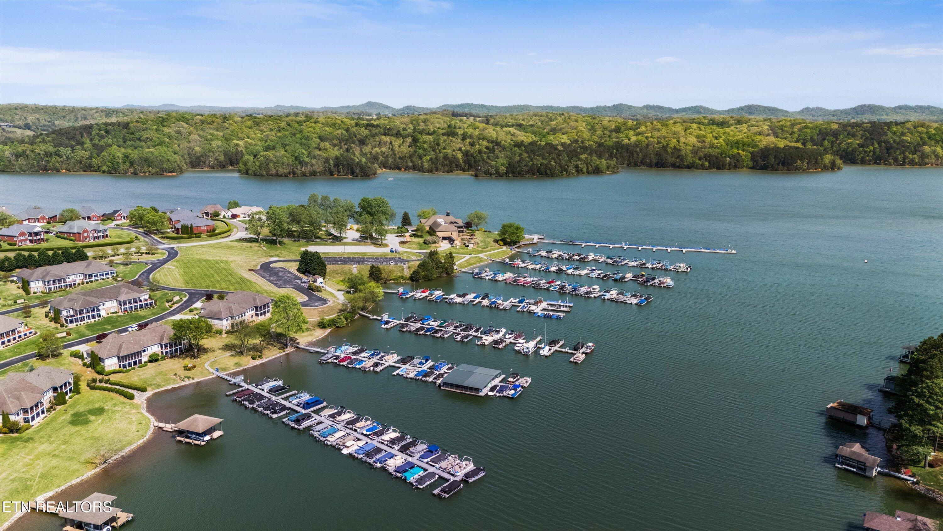 Fort Loudoun and Tellico Lake Real Estate - Image# 41