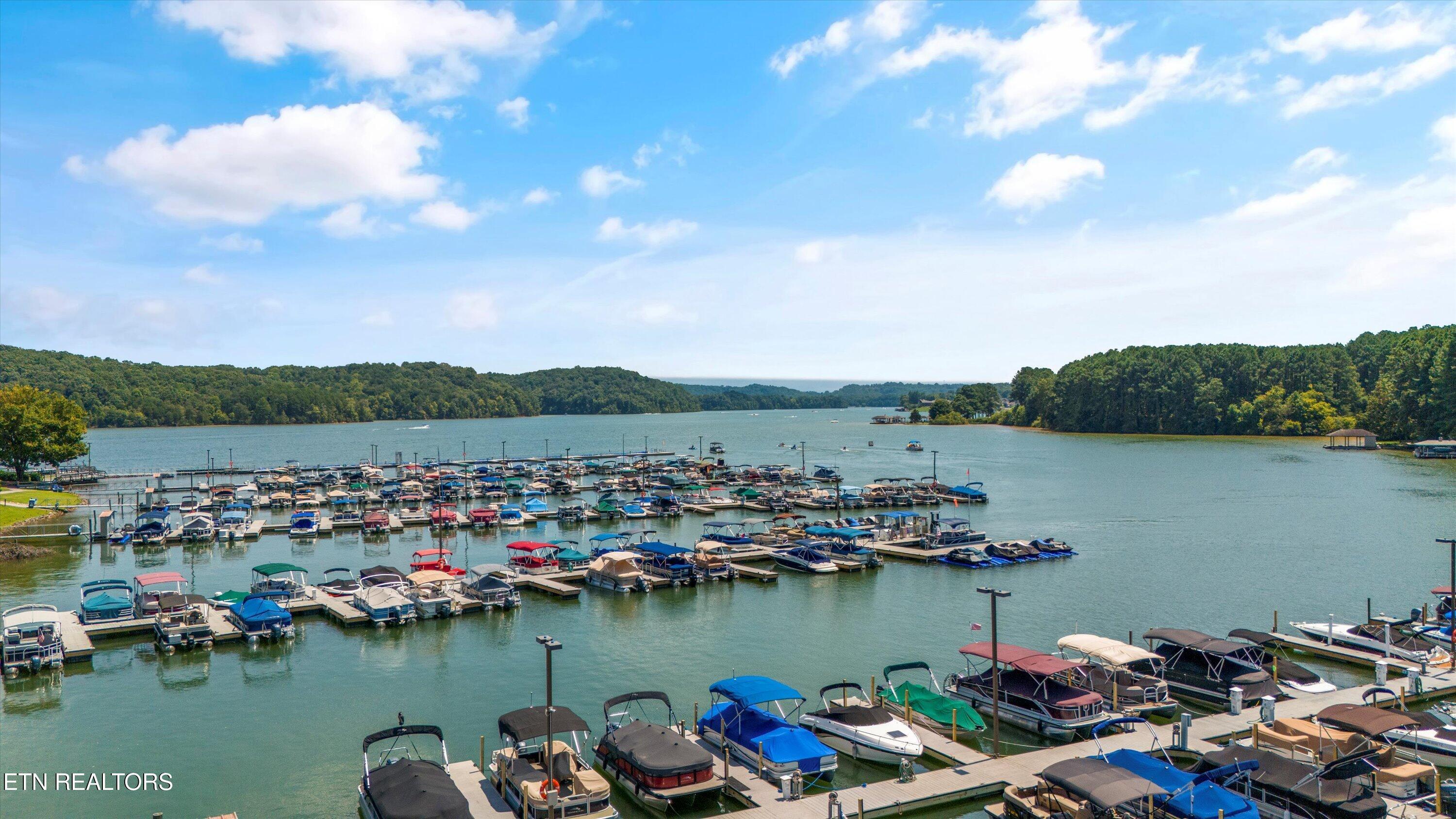 Fort Loudoun and Tellico Lake Real Estate - Image# 42