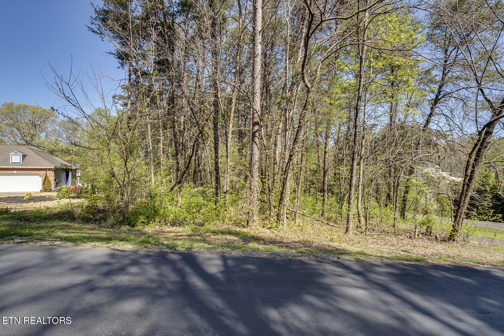 Fort Loudoun and Tellico Lake Real Estate - Image# 8