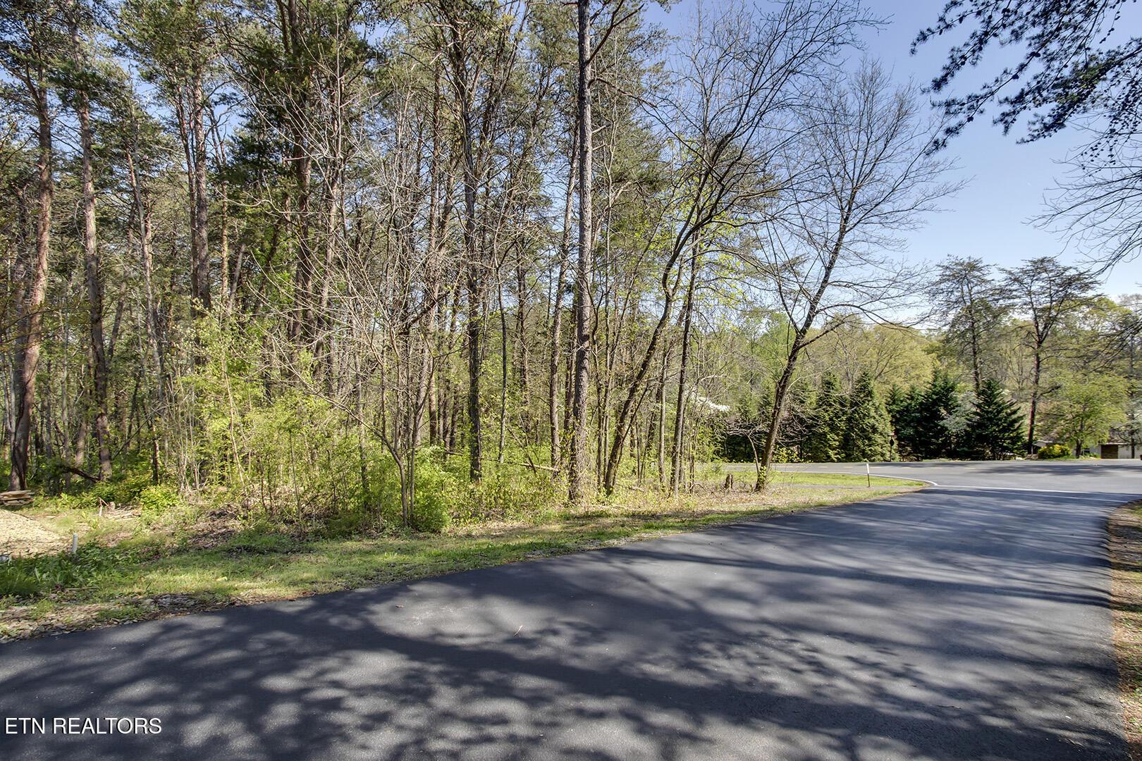 Fort Loudoun and Tellico Lake Real Estate - Image# 14