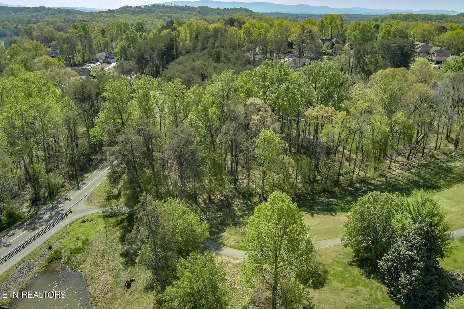 Fort Loudoun and Tellico Lake Real Estate - Image# 15