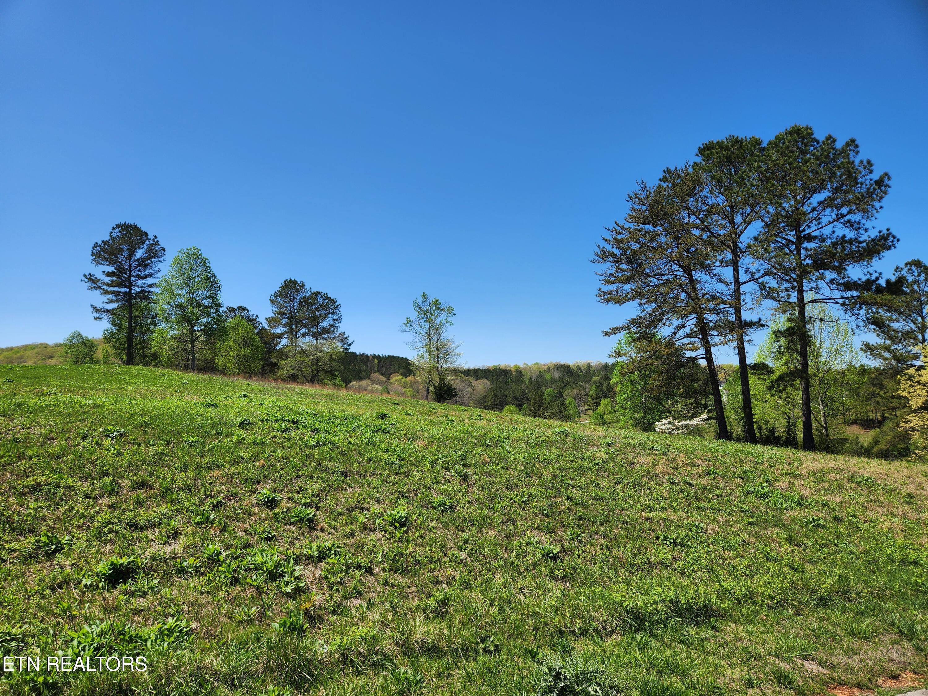 Lake Ferry Lot 251 Drive, Loudon, TN - Fort Loudoun and Tellico Lake Real Estate - Image# 6