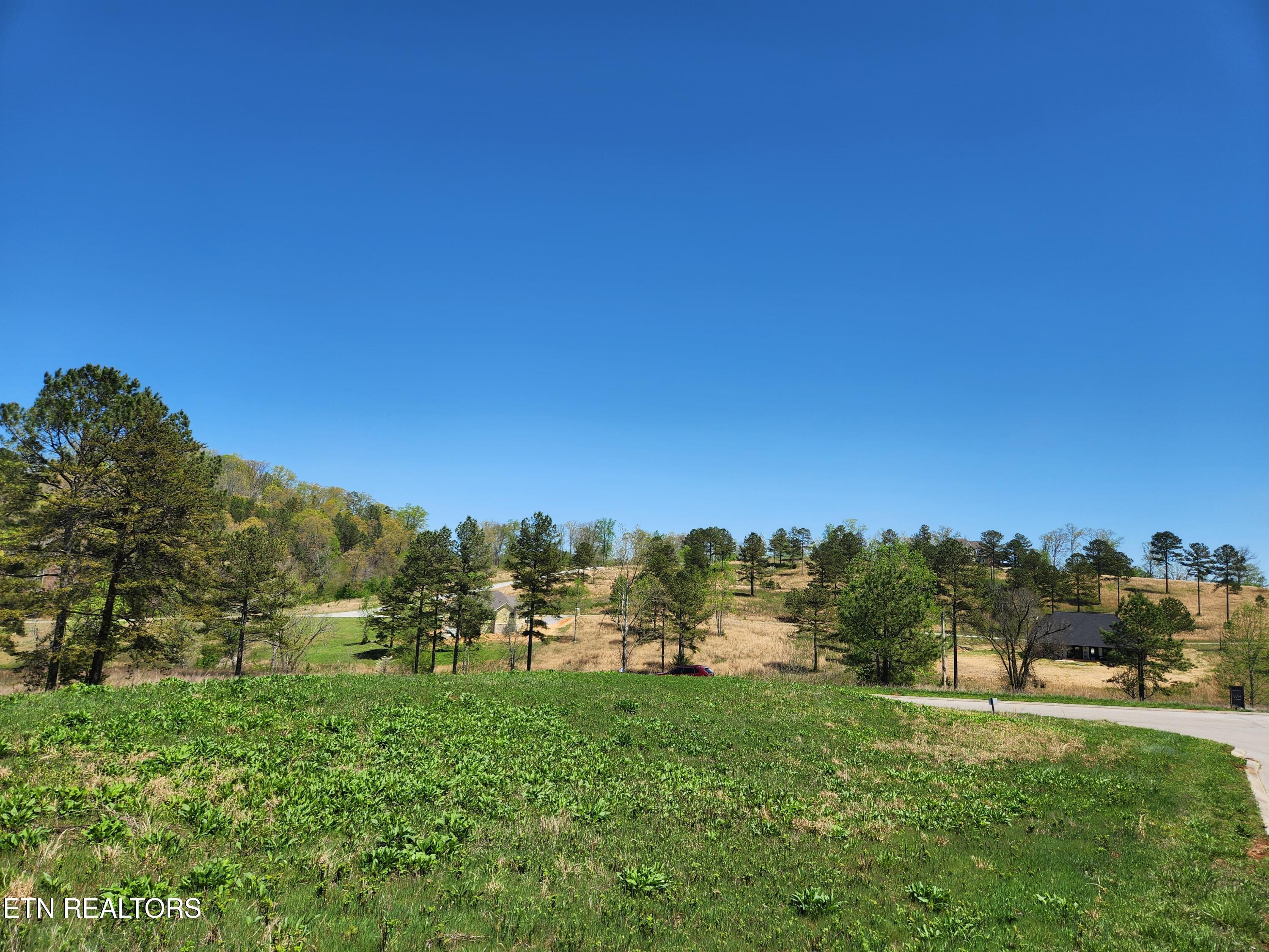 Lake Ferry Lot 251 Drive, Loudon, TN - Fort Loudoun and Tellico Lake Real Estate - Image# 7